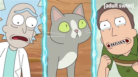 rick and morty sprechende katze|Dont Ask Why the Cat Can Talk 